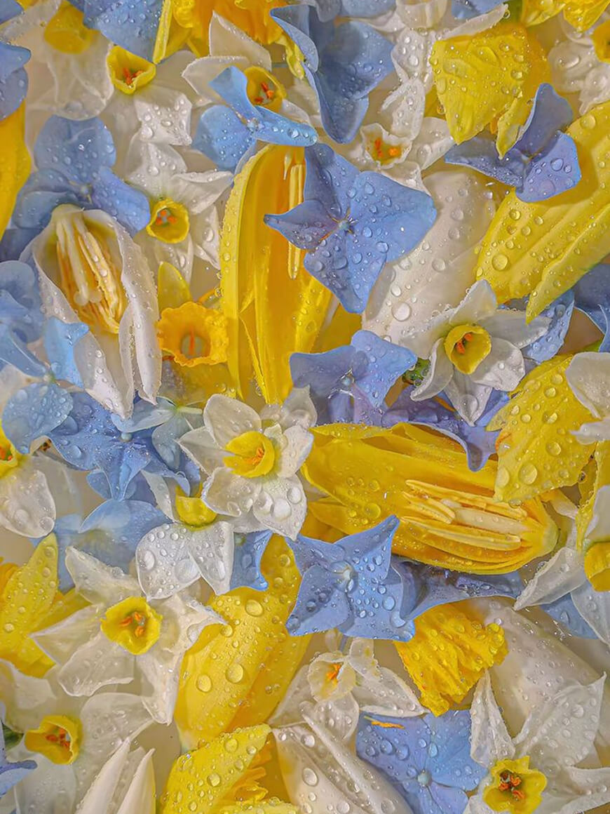 In Bloom speaker works